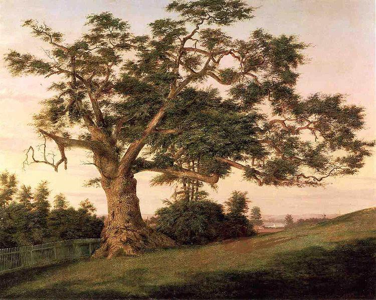 unknow artist The Charter Oak